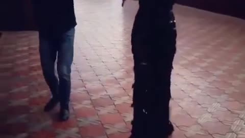 A girl at a wedding dances a Super Incendiary Lezginka