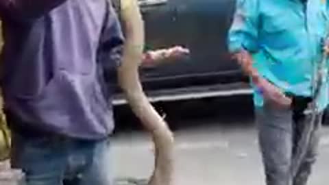 Strange foods in Indonesia