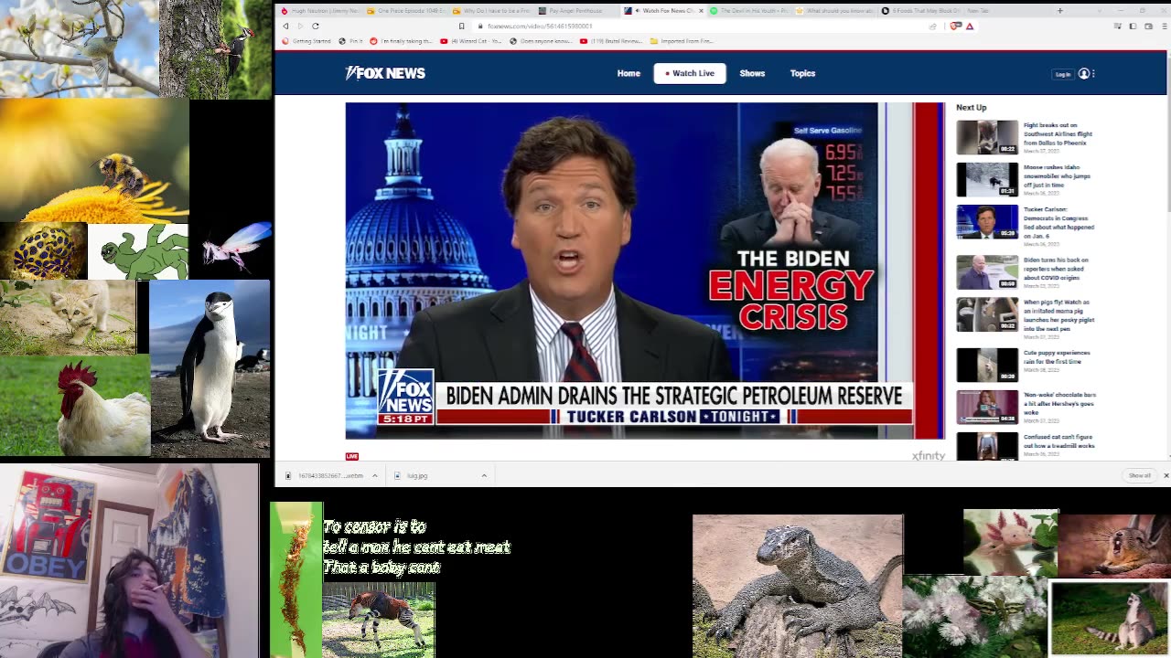Tucker Carlson Tonight 3/10/2023 Watchalong