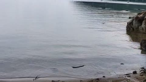a day in karimunjawa