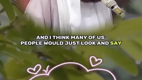 The Beauty of Character: Most Important Manners and Etiquettes That Define a Muslim | Mufti Menk