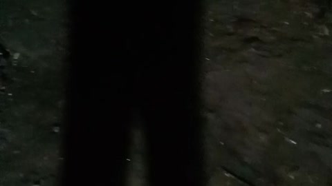 Walking shadow