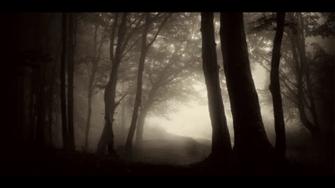 Terrifying TRUE Stories from the Middle of Nowhere Volume II