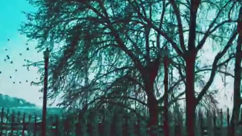 Peacfull Songs Nature's status ❤️ | Love nature