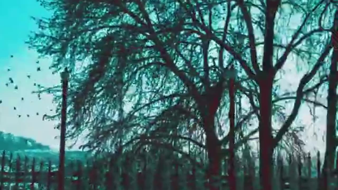 Peacfull Songs Nature's status ❤️ | Love nature