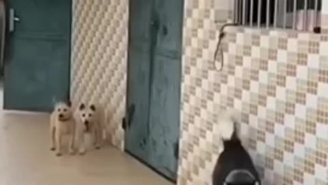Get the hell out of here!
