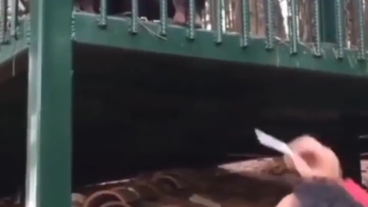 Monkey the Smoking Buddy for this Man