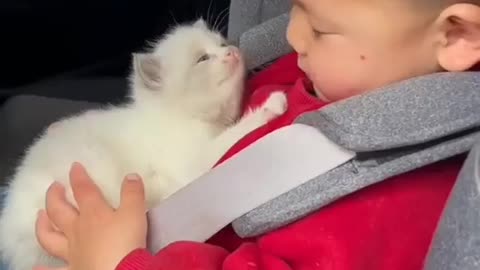 Baby and kitten