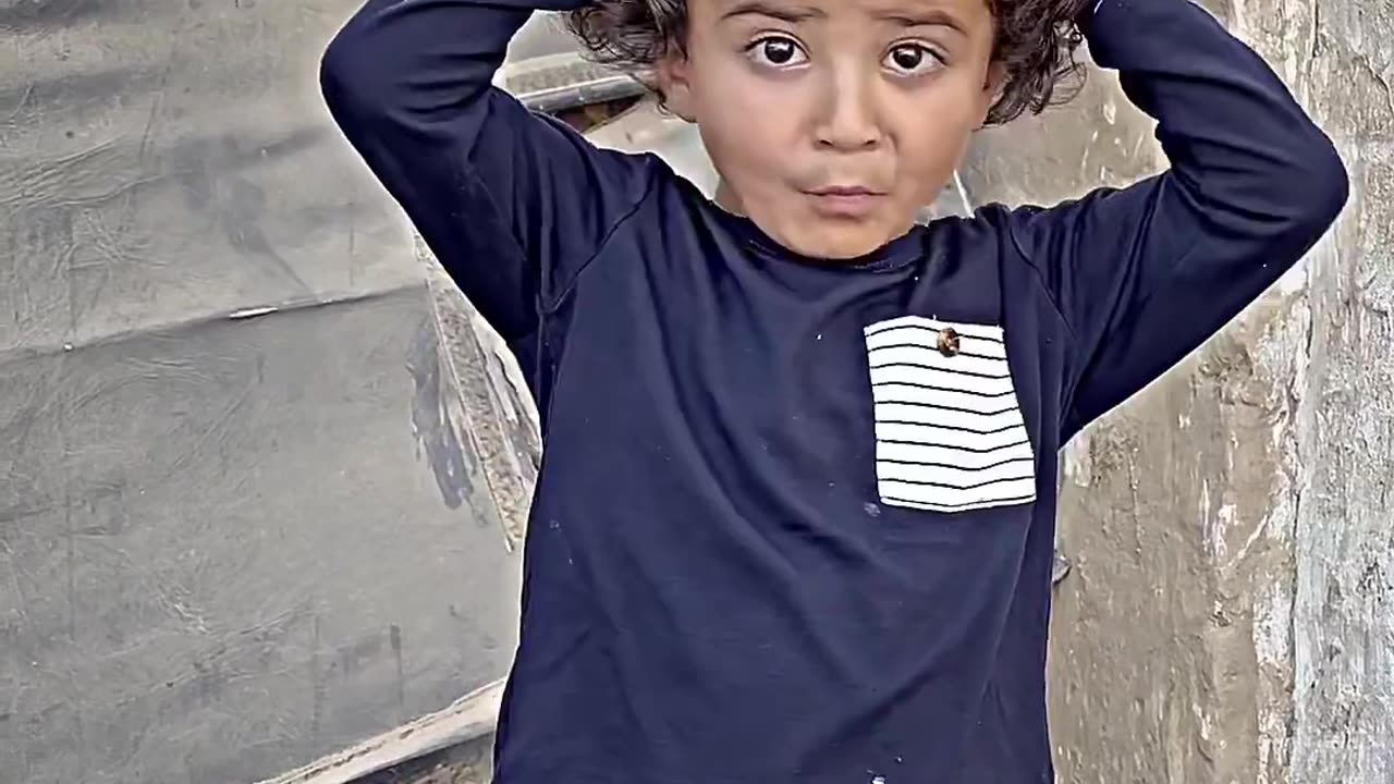 Funny videos