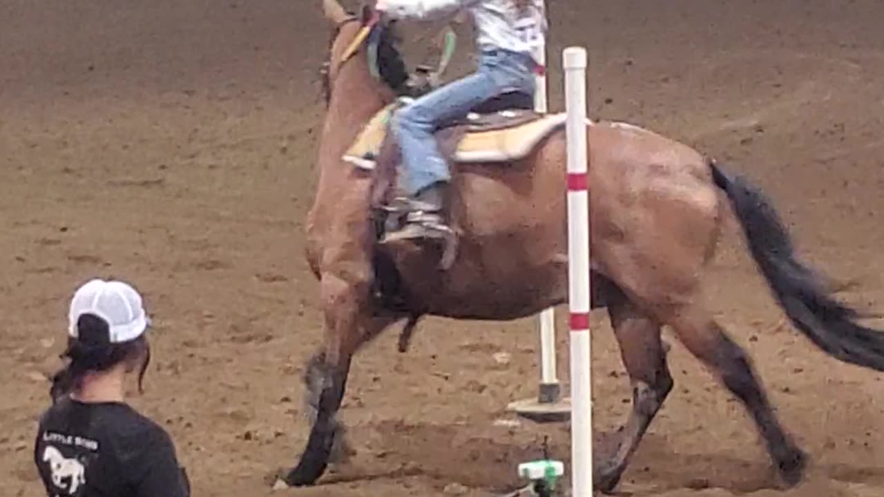 Marion County Fair Girls Riding