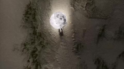 "Nature's Clash: Bear vs Earth"