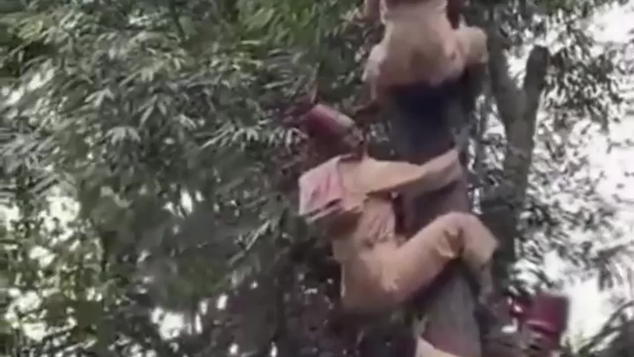 Better not get down