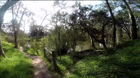 Yarra River Dirt Trail Snake Country on Foot 3