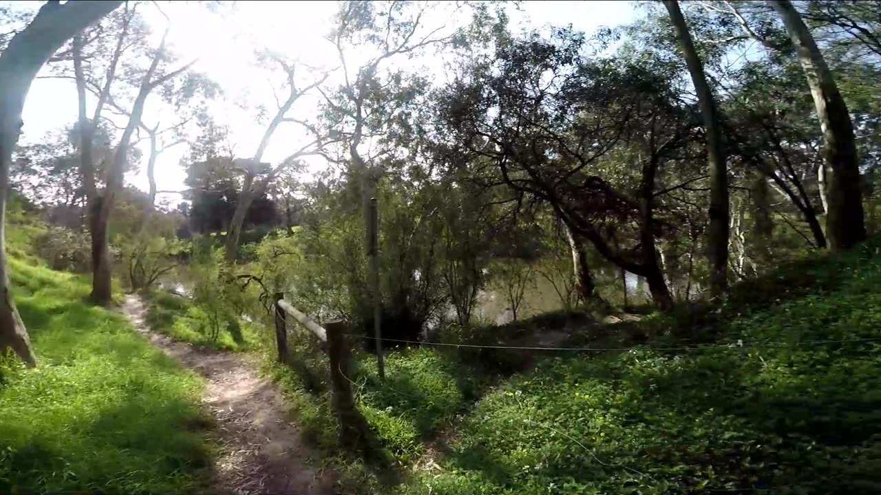 Yarra River Dirt Trail Snake Country on Foot 3