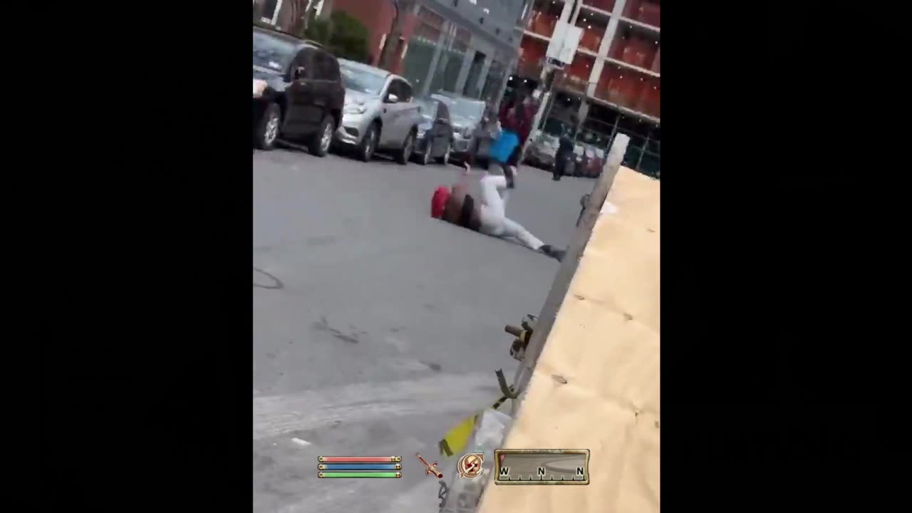 Redguard Courier RETALIATES - Oblivion NPC
