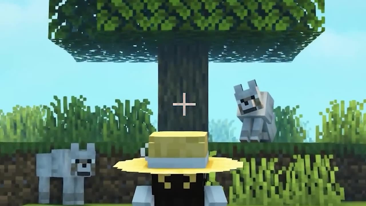 I found a strange dimension