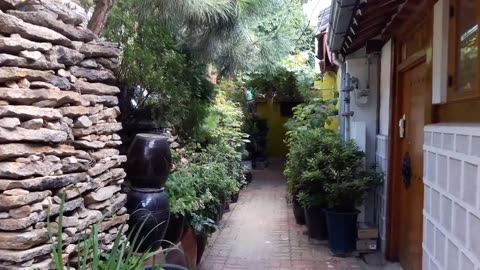 20181008_V3_S01(rRYnm0zHiZE)청와대 근처에 이런 이색적인 골목이 있네요