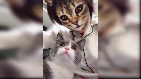 Baby Cats: Compilation #11 of Cute and Funny Cat Videos | Aww Animals