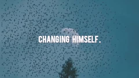 Motivation quotes