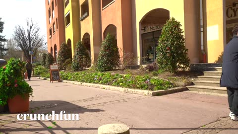 Best Bushman Prank compilations 2024!! YOU will watch again and again