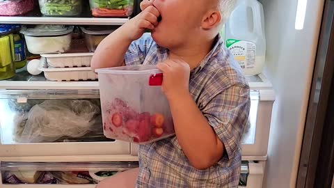 Strawberry bandit