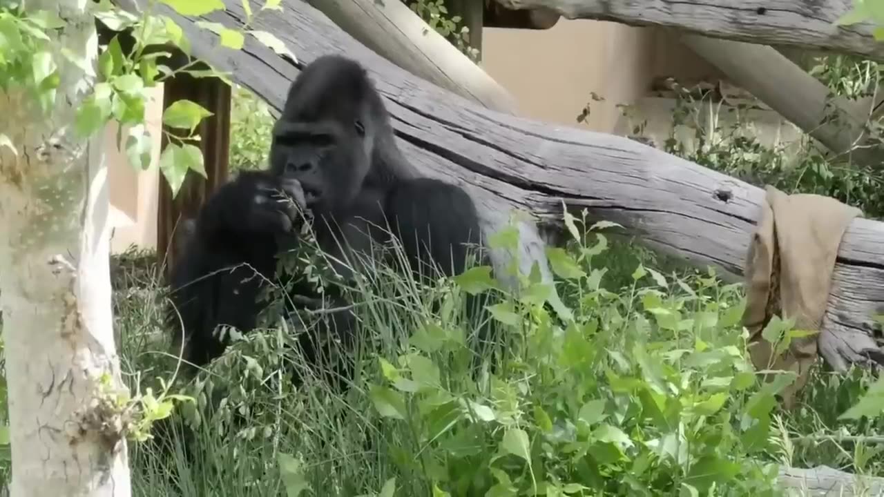 LIFE IN UGANDA WHICH YOU DONT KNOW