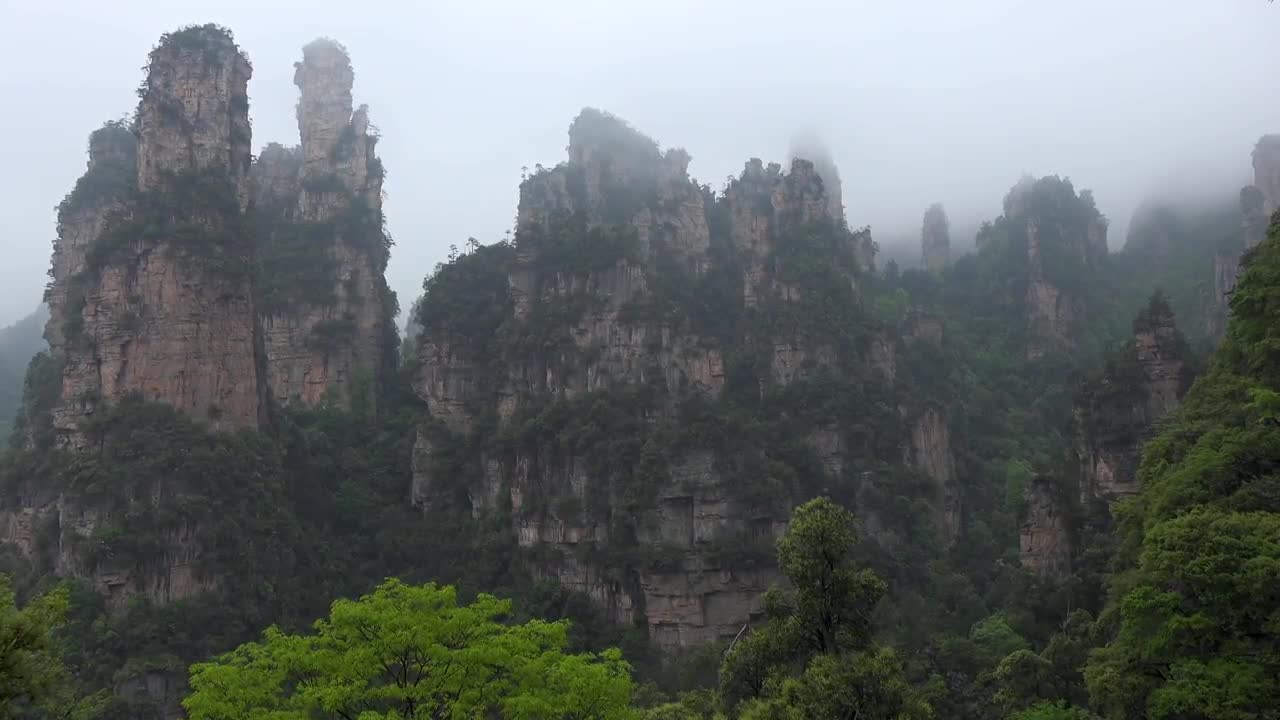 "Avatar" Mountain & Wulingyuan Scenic Area