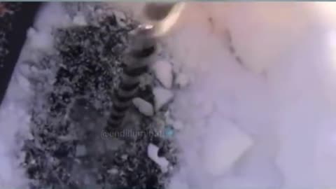 what is that...