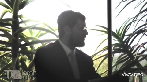A to Z making a salad on Shabbos - 10 of 10 ( Video 10 of 10)