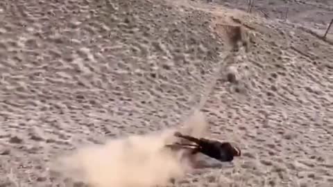 Guy Suffers Through A Tough Mountain Bike Landing After Going For A High Jump