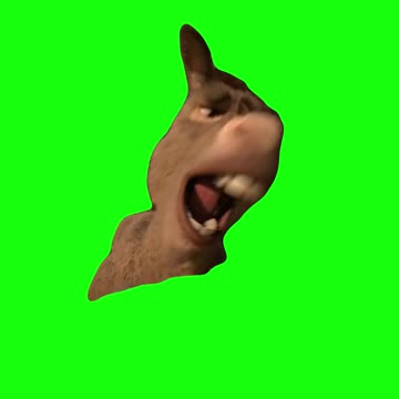 Donkey Reaching for Waffles | Green Screen