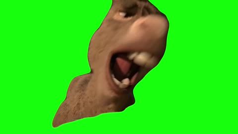 Donkey Reaching for Waffles | Green Screen