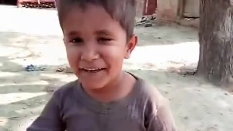 Funny videos