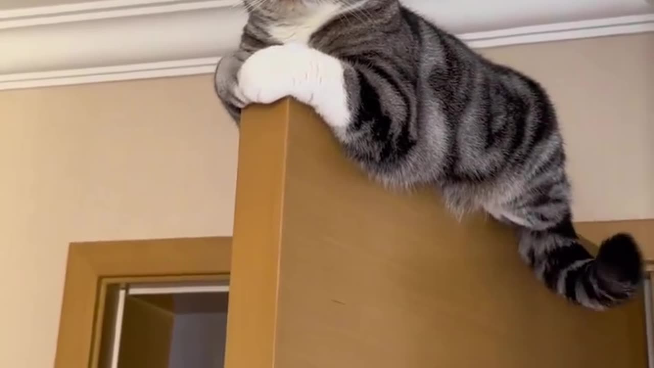 Literally the doorkeeper 🤣.
