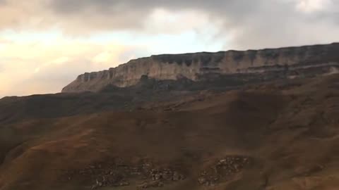 NATURE 20