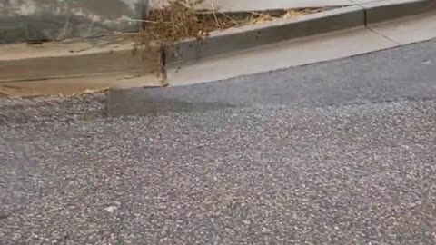 Huge Monsoon Storm Sparks Large Flood