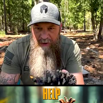 Pine Cones Are Best Fire Starter