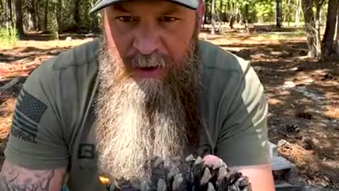 Pine Cones Are Best Fire Starter