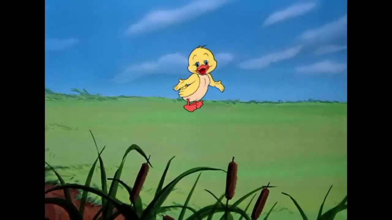 Tom and Jerry new cartoon video