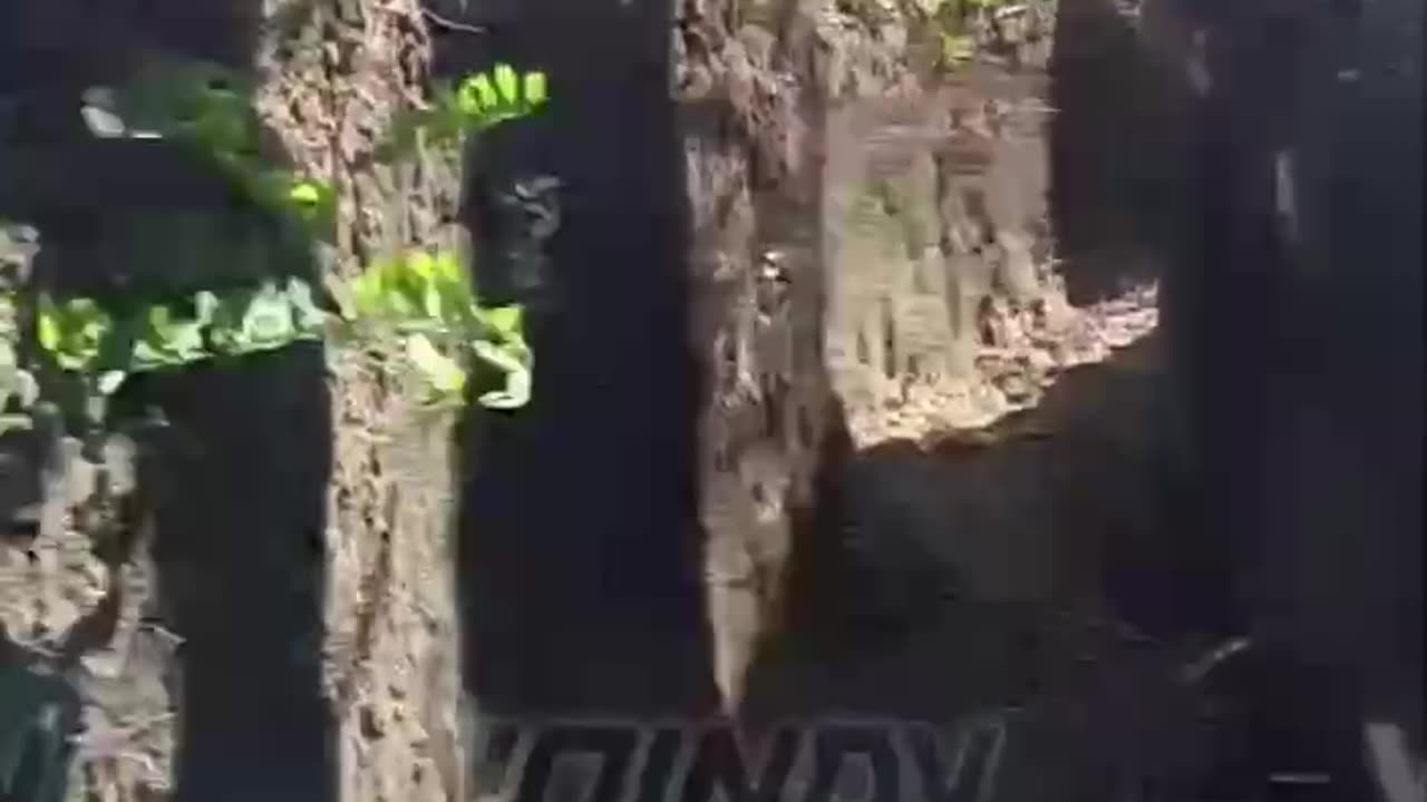 Carnage and Trohpies From a Captured Ukrainian Stronghold