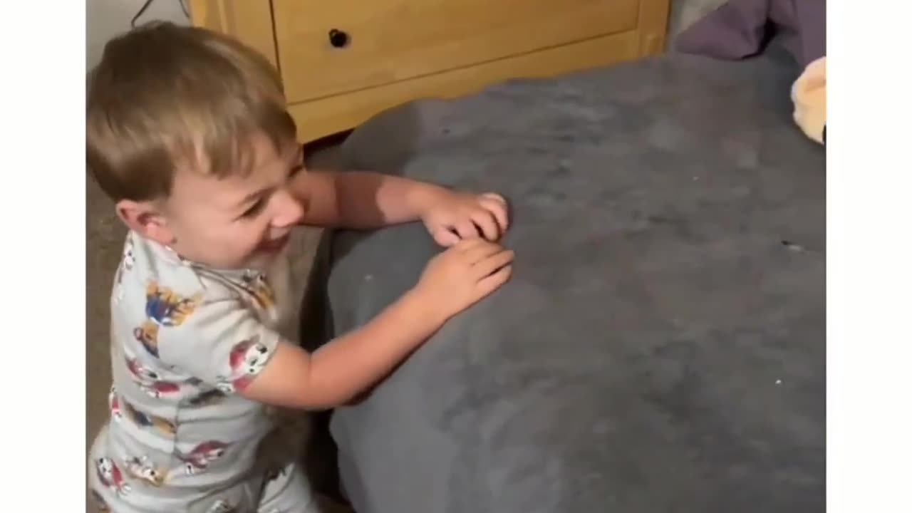The funny part is I know the cat was fighting for real