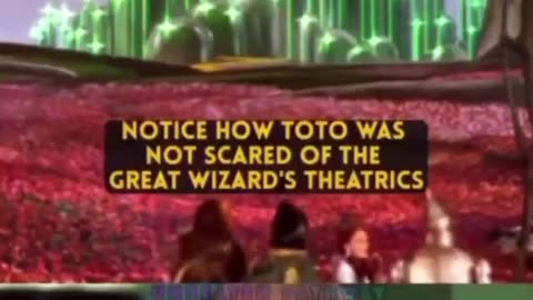 YELLOW BRICK ROAD - TRUE STORY