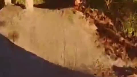 POV -- Dirt Jumps