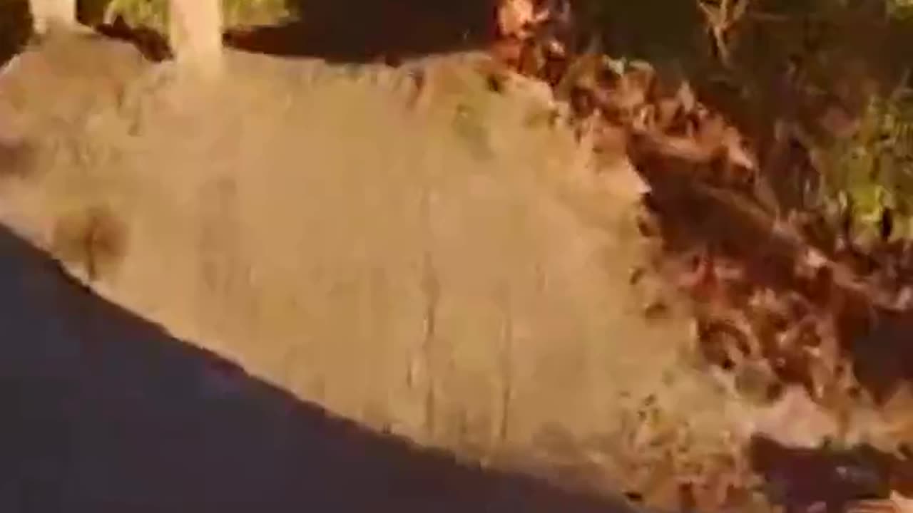 POV -- Dirt Jumps