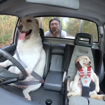 Someone is pulling this truck? 👍👍