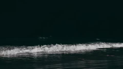 Sea waves
