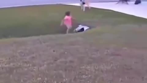 Dog protecting child vedio