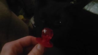 Ring pop