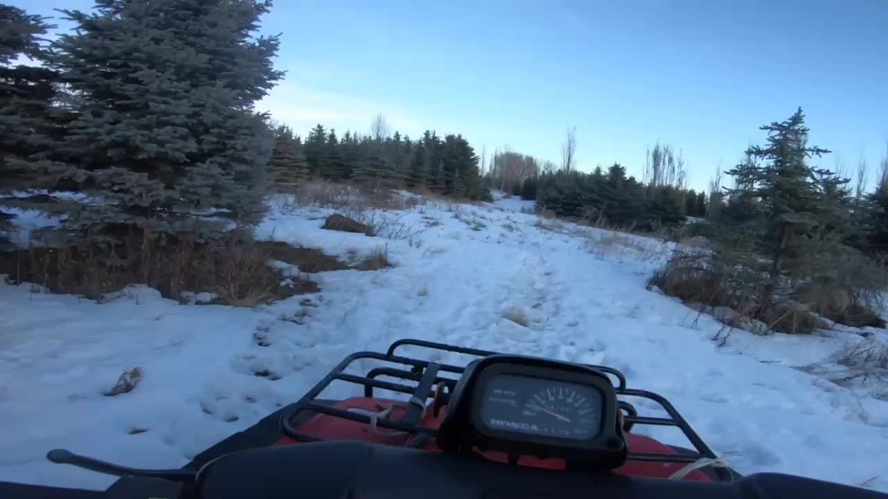 Driving around in the snow
