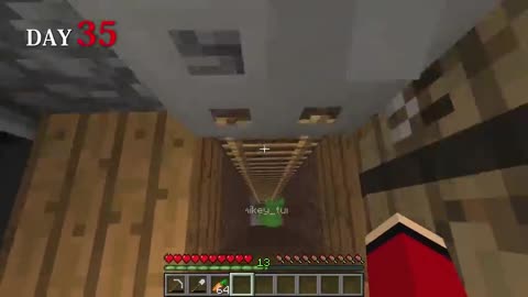 minecraft spend 100 days on a volcanic island